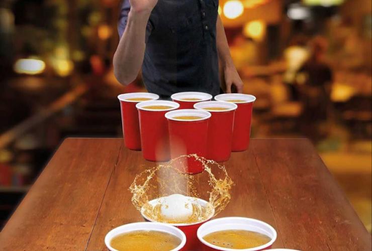Beer pong picture